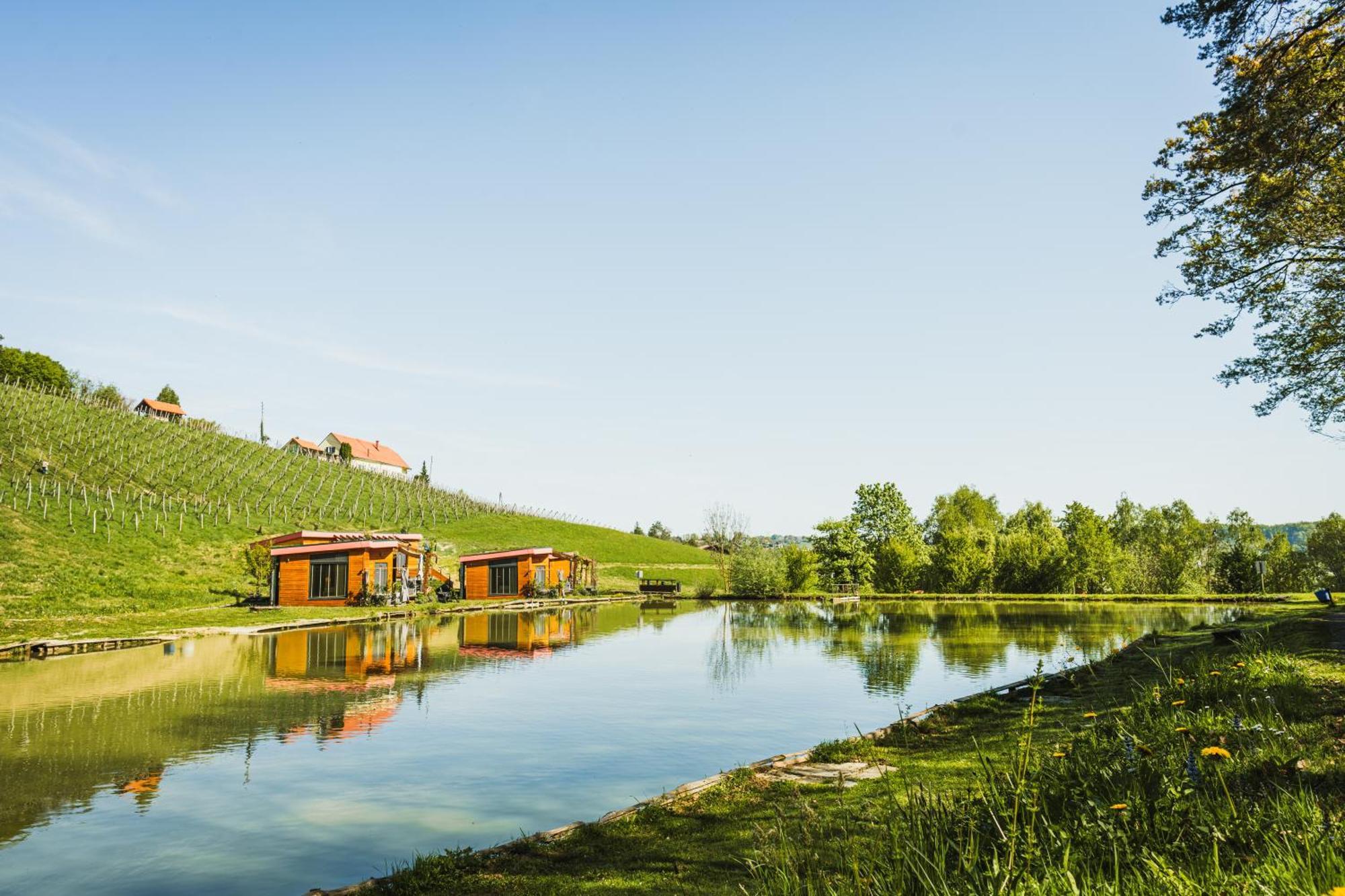 Naturasort Holiday Houses Pesnica pri Mariboru Exteriör bild